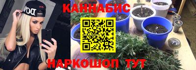 стафф Свободный