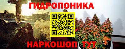 стафф Свободный